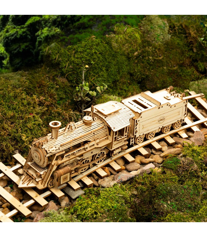 ROKR Puzzle 3D Modèle Mécanique de Bâtiment en Bois Kit de Jouets